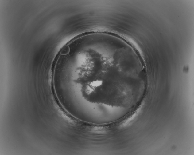 X0000091550839200708171304