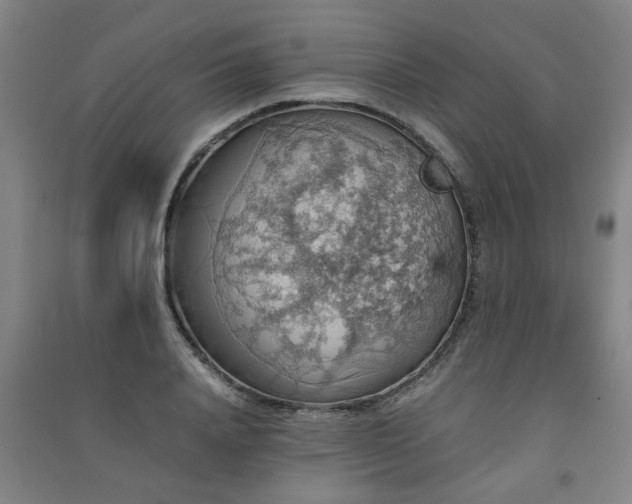 X0000091550840200708171304