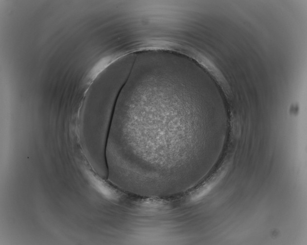 X0000091550842200708171304