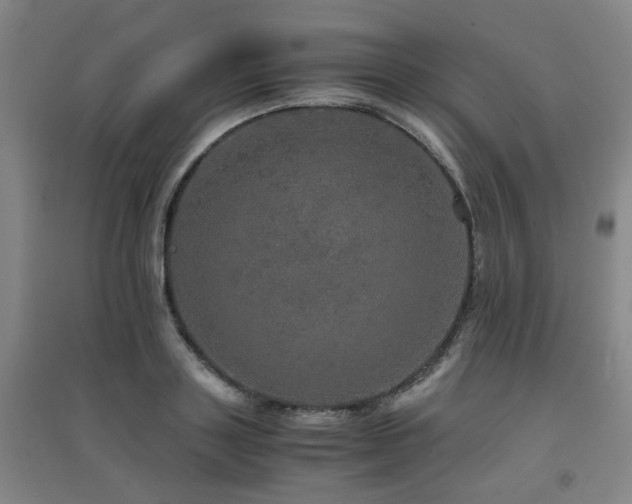 X0000091550843200708171304