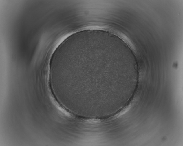 X0000091550844200708171304