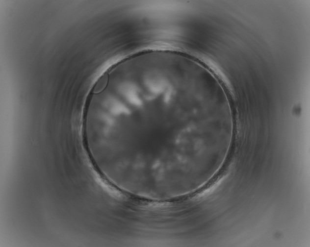 X0000091550845200708171304