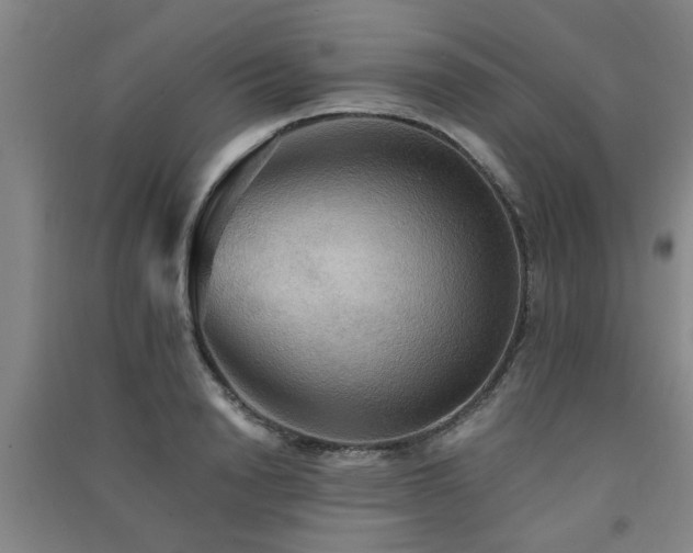 X0000091550846200708171304