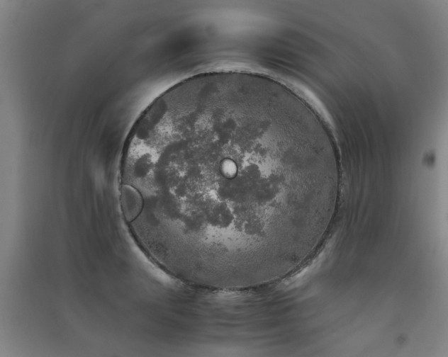X0000091550847200708171304