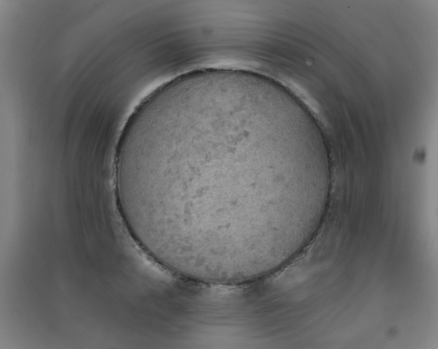 X0000091550848200708171304