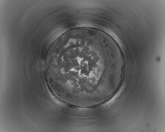 X0000091550849200708171304