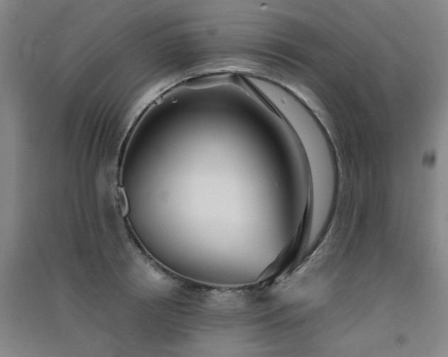 X0000091550850200708171304