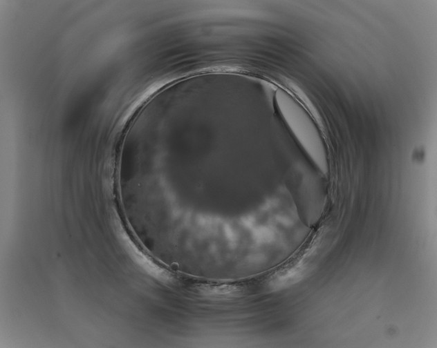 X0000091550851200708171304