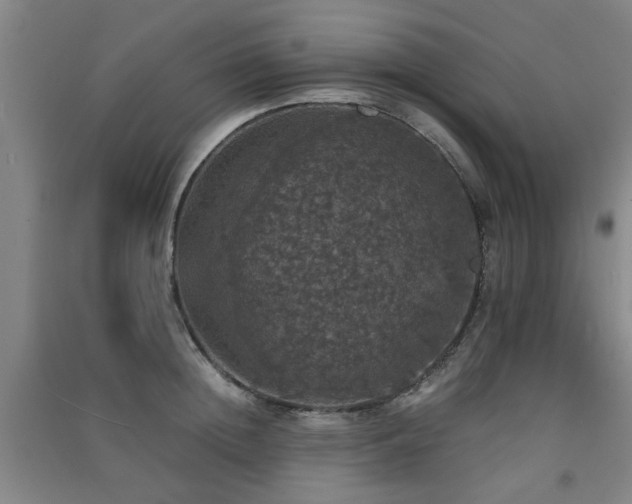 X0000091550852200708171304