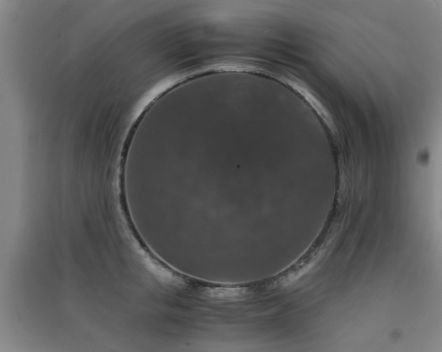 X0000091550853200708171304
