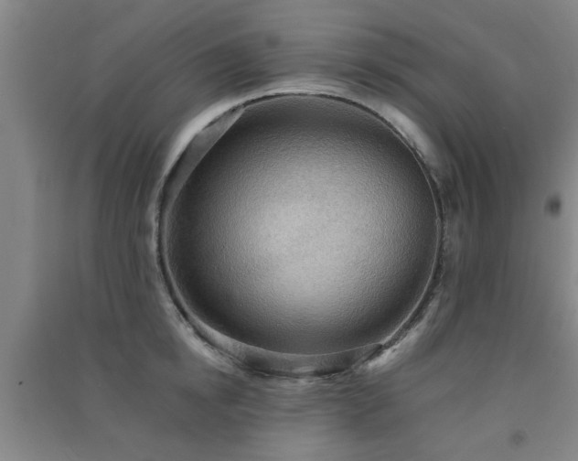 X0000091550854200708171304