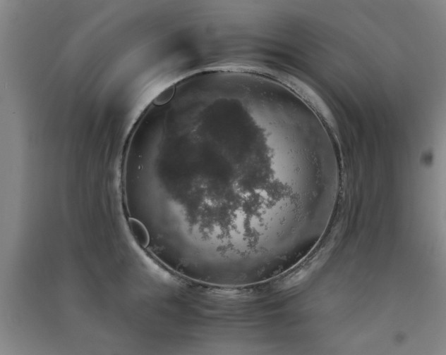 X0000091550855200708171304