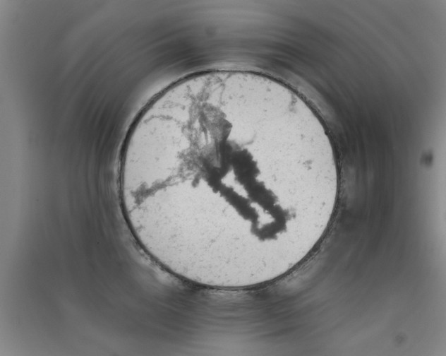 X0000091550856200708171304