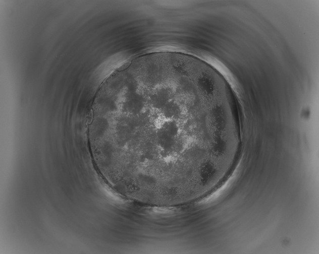 X0000091550857200708171304
