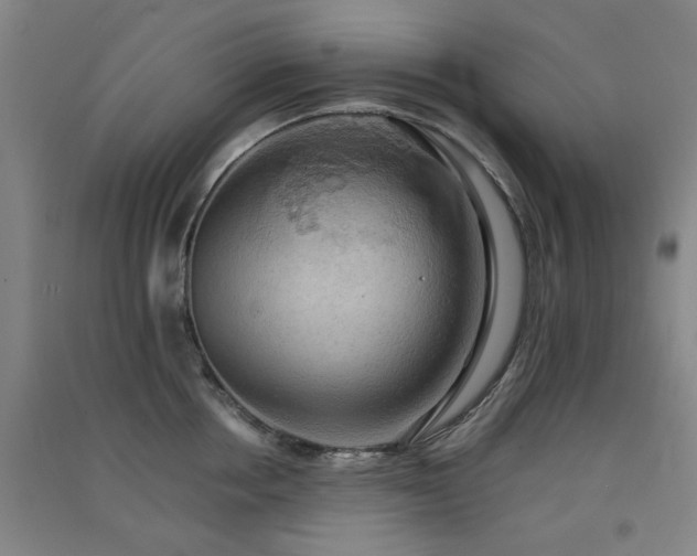 X0000091550858200708171304