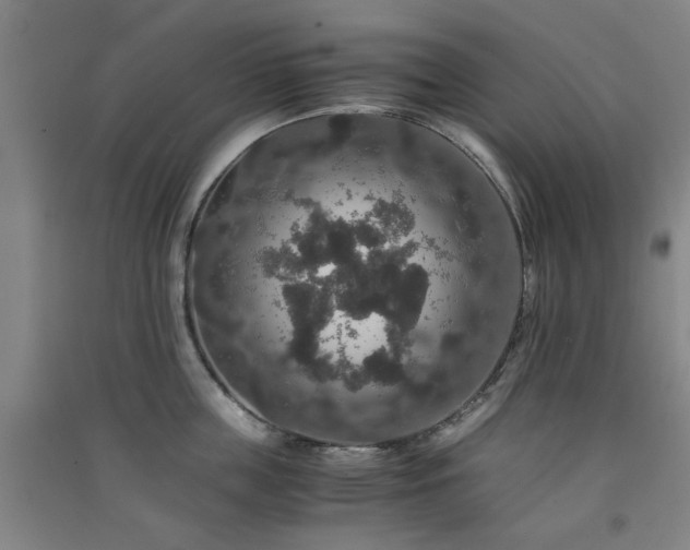 X0000091550859200708171304