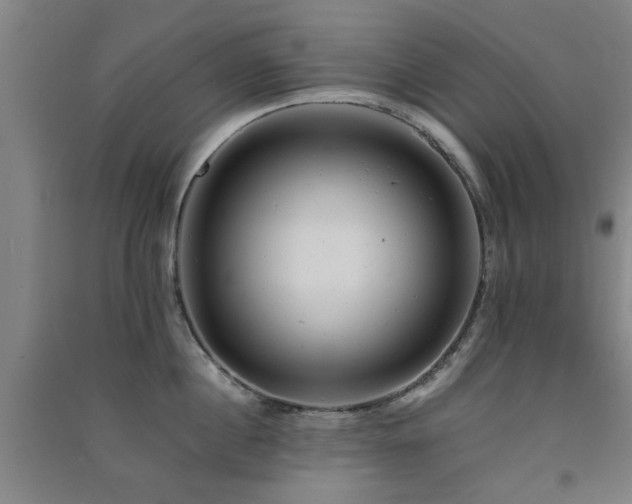 X0000091550860200708171304