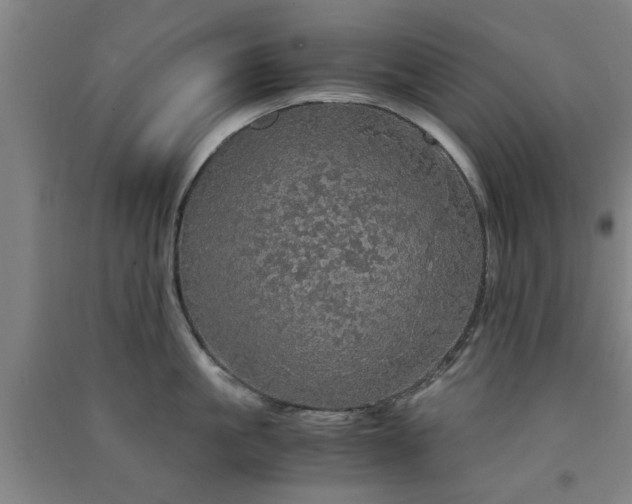 X0000091550861200708171304