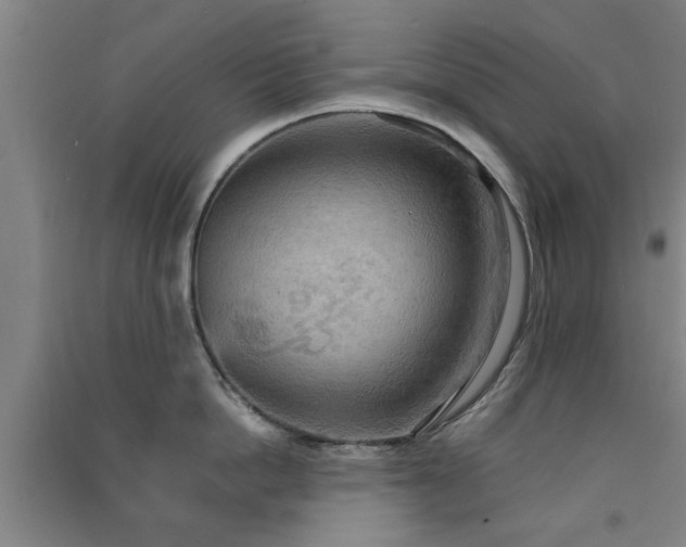X0000091550862200708171304