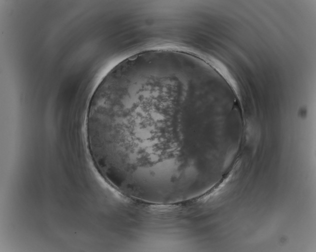 X0000091550863200708171304
