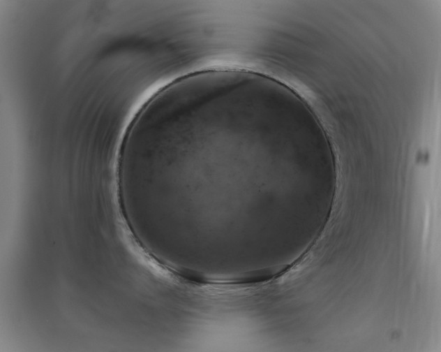 X0000091550864200708171304