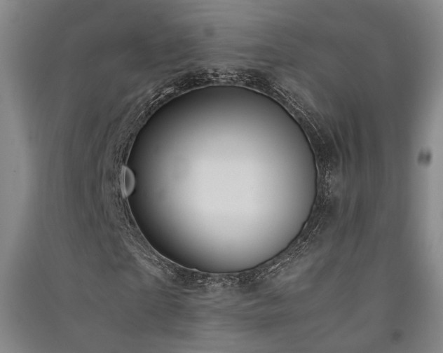 X0000091550865200708171303