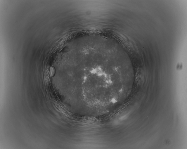 X0000091550866200708171303