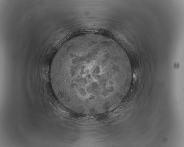 X0000091550867200708171303