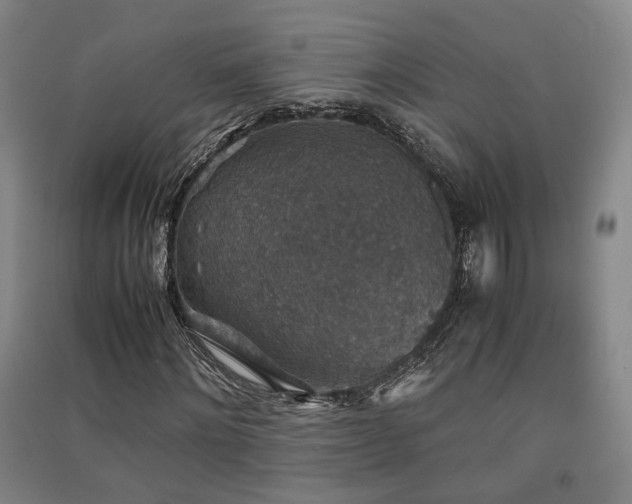 X0000091550868200708171303