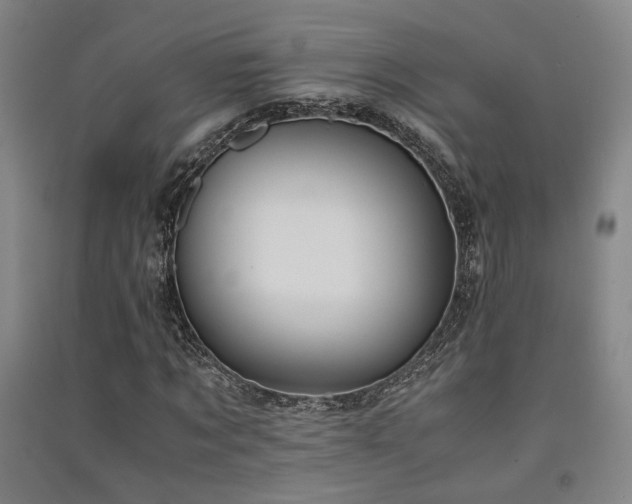 X0000091550869200708171303