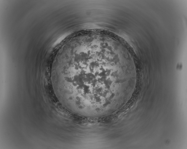 X0000091550871200708171303