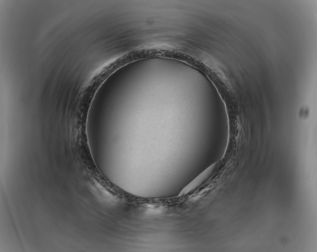 X0000091550872200708171303