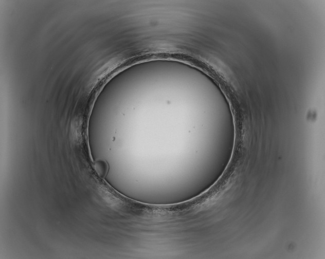 X0000091550873200708171303