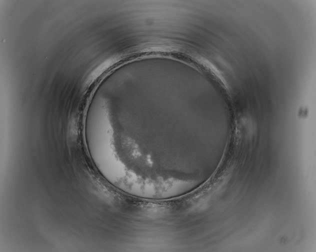 X0000091550874200708171303
