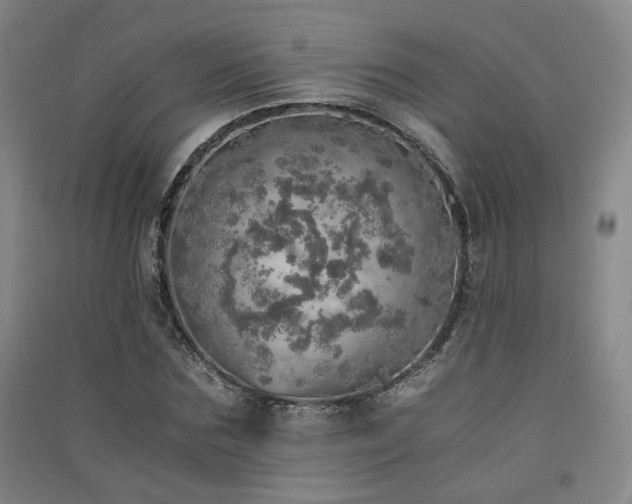 X0000091550875200708171303