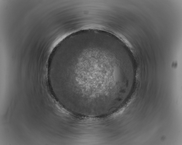 X0000091550877200708171303