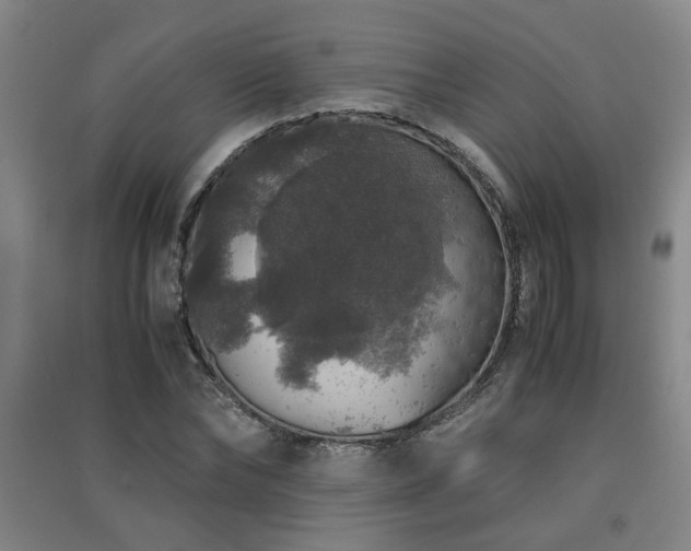 X0000091550878200708171303