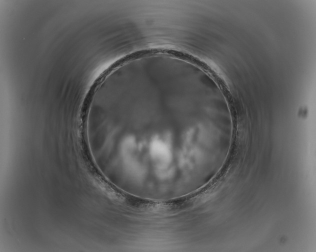 X0000091550879200708171303