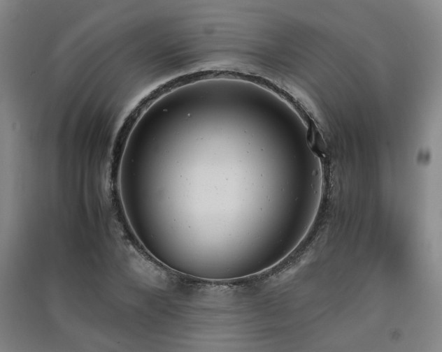 X0000091550880200708171303