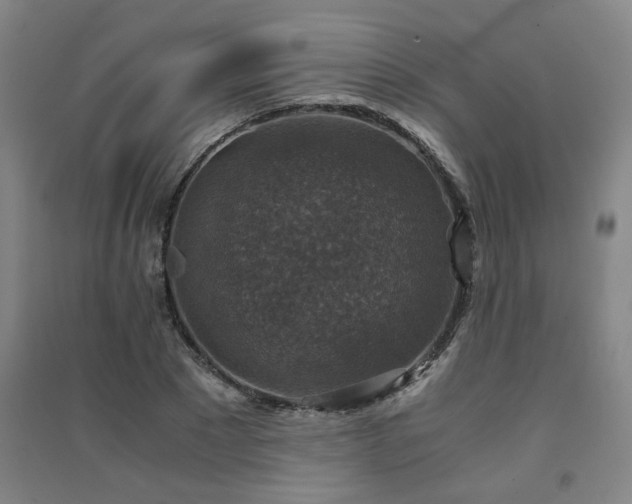 X0000091550881200708171303