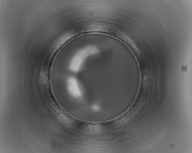 X0000091550882200708171303