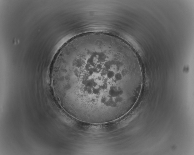 X0000091550883200708171303