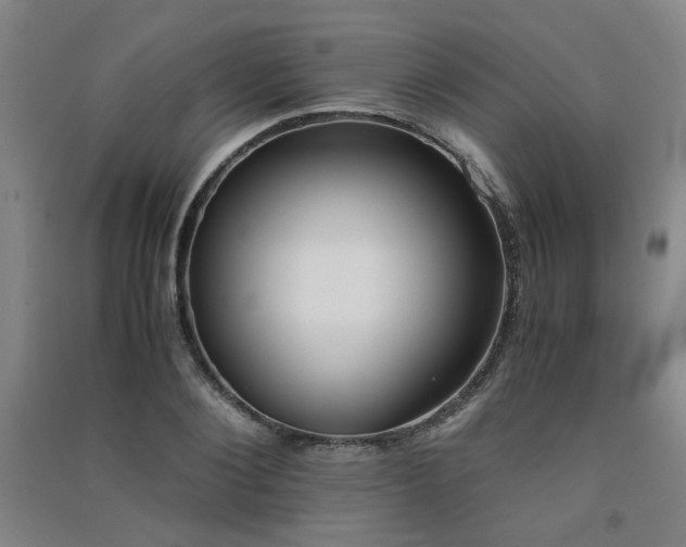X0000091550884200708171303