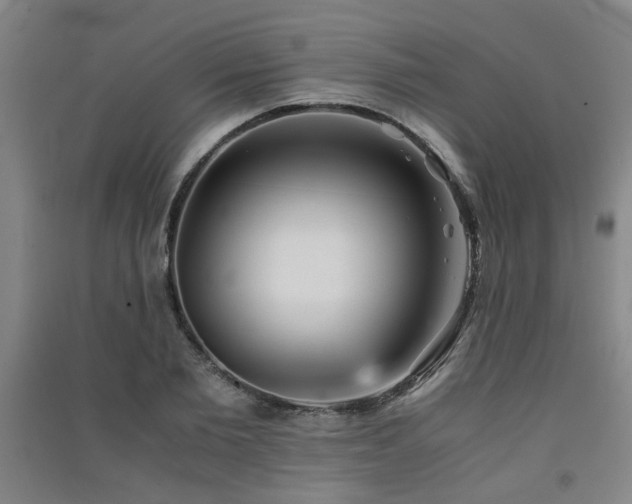X0000091550885200708171303