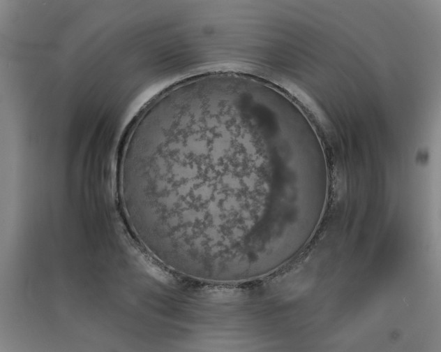 X0000091550886200708171303