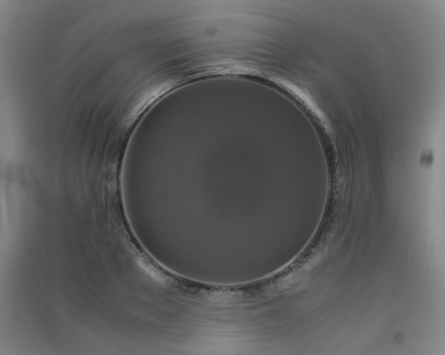 X0000091550889200708171303