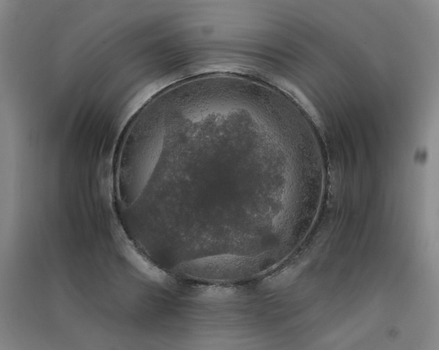 X0000091550890200708171303
