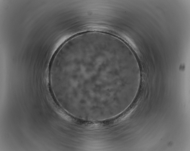 X0000091550891200708171303