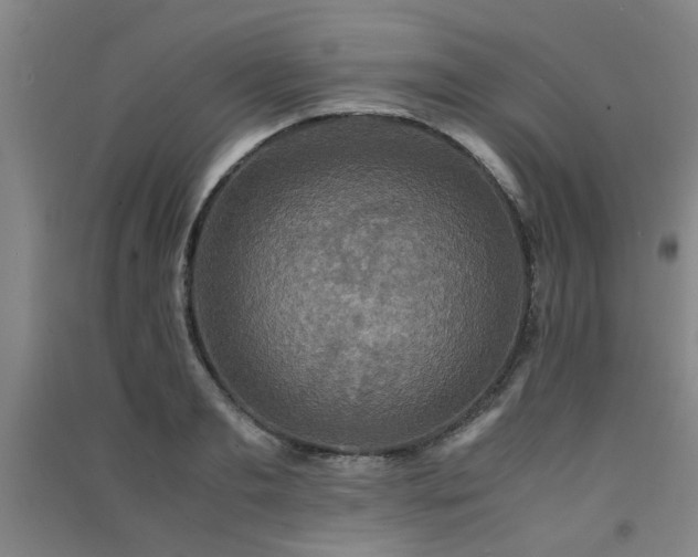 X0000091550893200708171303
