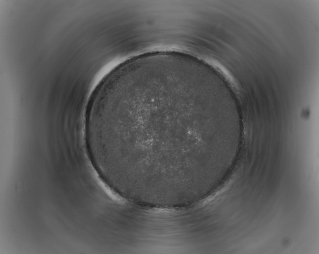 X0000091550894200708171303